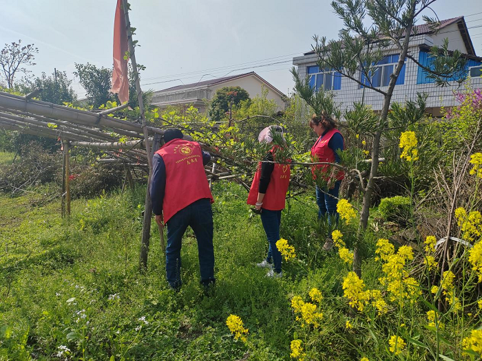 许家桥回维乡：禁种铲毒不止步  踏查宣传守净土