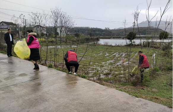 双桥坪镇：推进人居环境整治 绘就美丽乡村底色