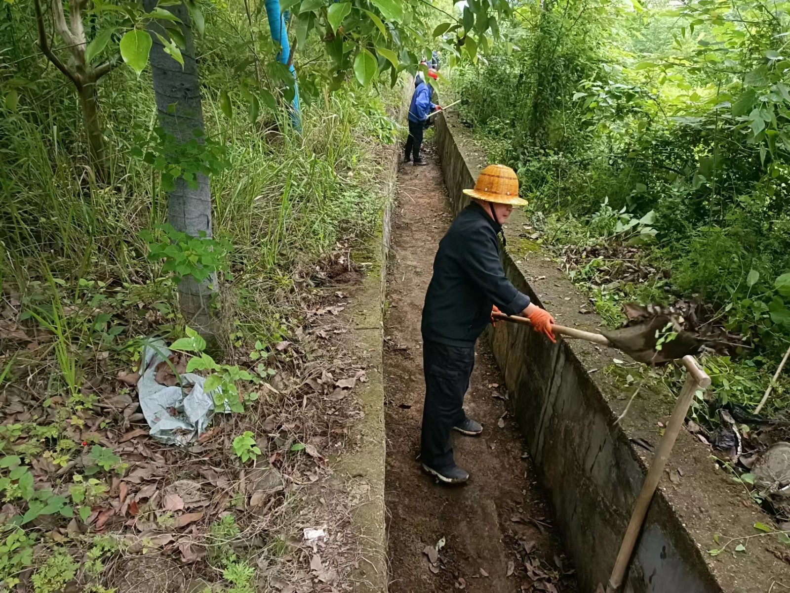鼎城区公路建设养护中心：清理疏通公路两侧排水沟 确保国省干线公路安全度汛