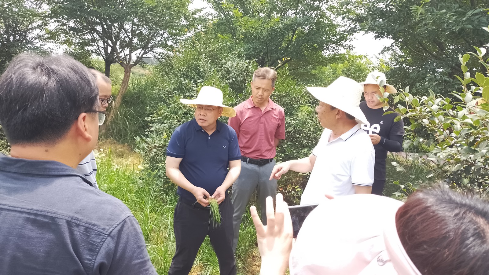 湖南省林业局对鼎城区“2023年中央财政林草科技推广示范项目”实施进行检查指导