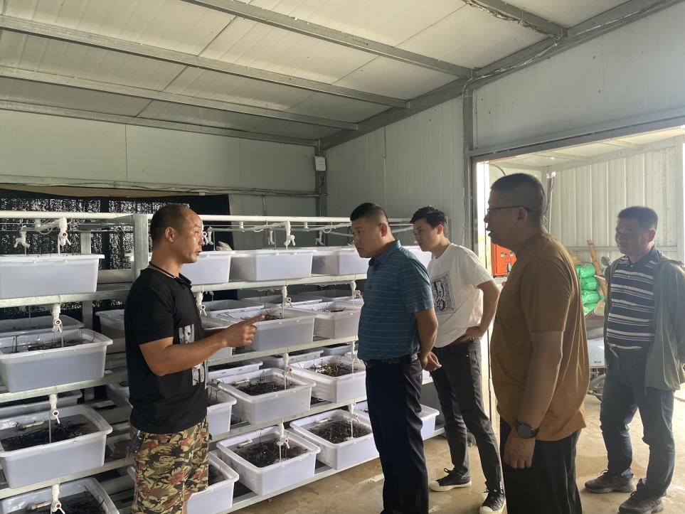 简超调研走访企业：抓好科技特派员工作