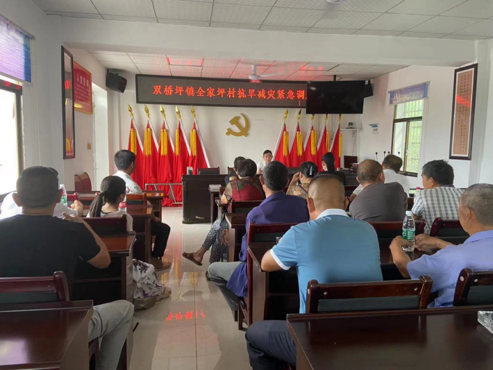双桥坪镇：多措并举抗旱情 凝心聚力保民生