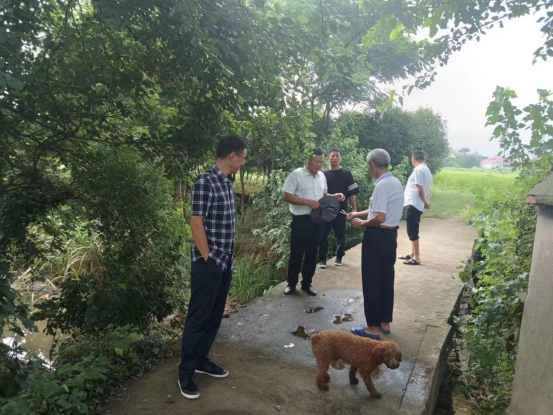 双桥坪镇：为民修建“小桥梁” 造福实事“大民生”