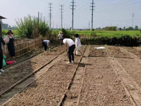 郭家铺街道：种好“小菜园” 办好“廉洁灶”