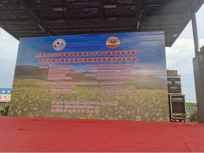 双桥坪镇：双堰堤油菜花海活动举行