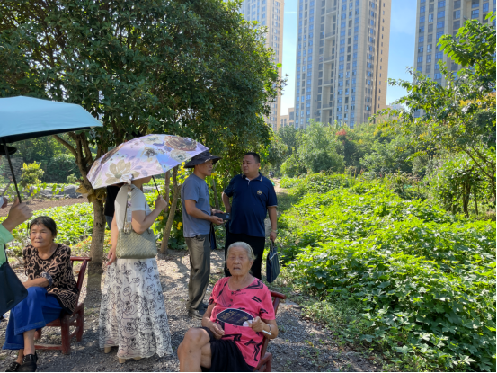 红云街道政联组：开展委员活动日 实地调研黑臭水体问题
