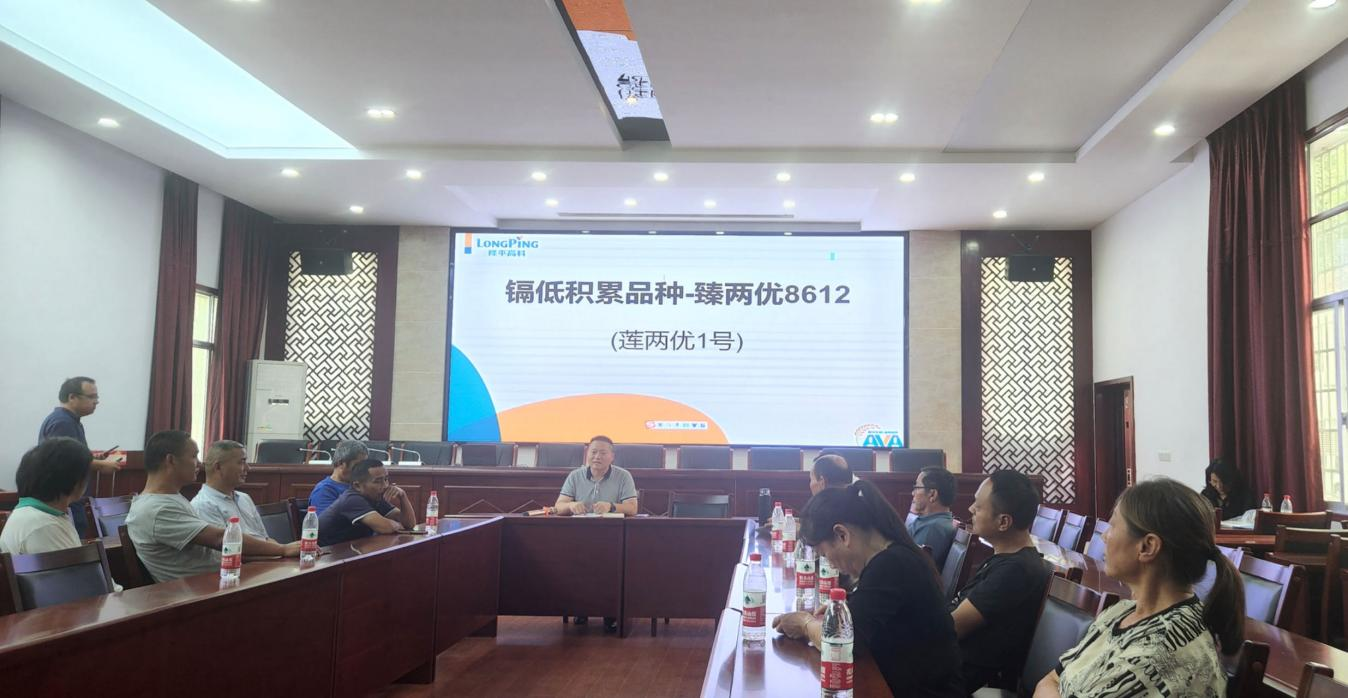 草坪镇：新品水稻丰产低镉  农民实现增产增收