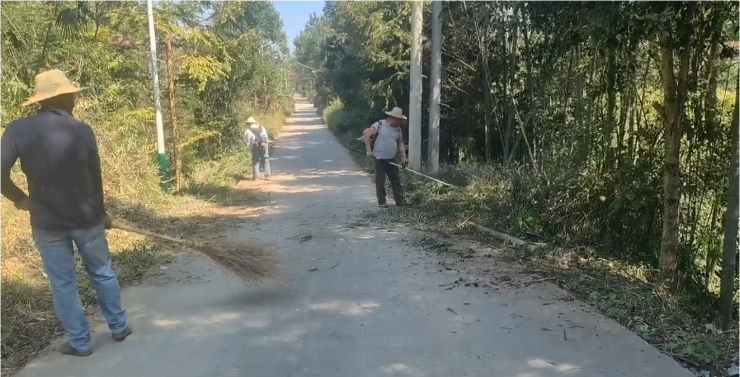 花岩溪镇：清理电网树障 维护用电环境