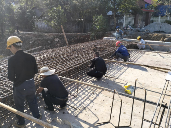 双桥坪镇：情系群众办实事 修桥便民暖人心