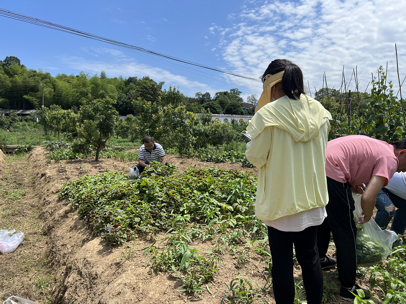 鼎城区农产品质量检验检测中心:胶体金快检为农产品质量检测提质增效