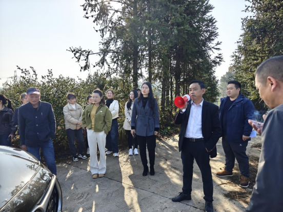 双桥坪镇：发挥职责助推油茶产业发展
