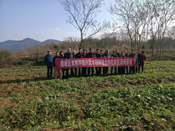 双桥坪镇：“田间学校”助力乡村产业振兴