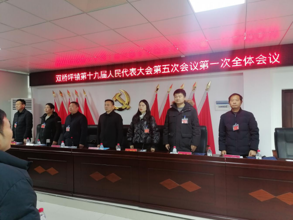 双桥坪镇第十九届人民代表大会第五次会议顺利召开