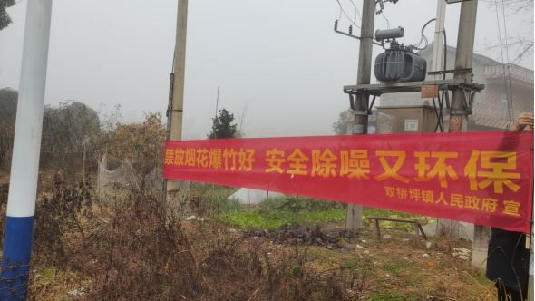 双桥坪镇：禁燃禁放在行动 排查隐患不放松