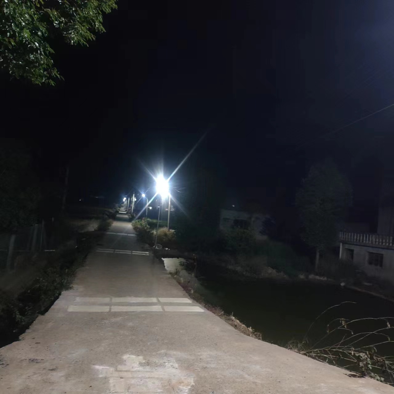 韩公渡镇：小小路灯 温暖民心