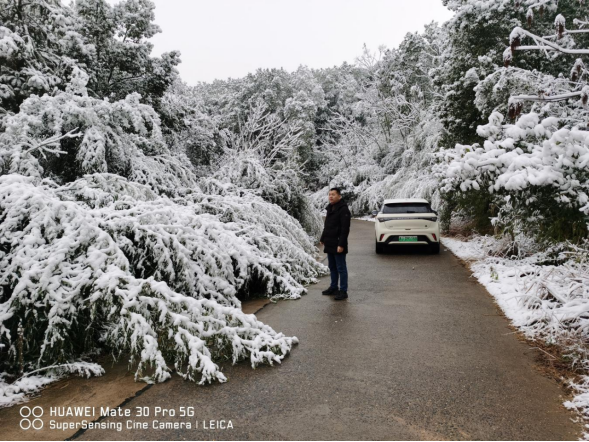双桥坪镇：做好低温冰冻雨雪天气应对工作