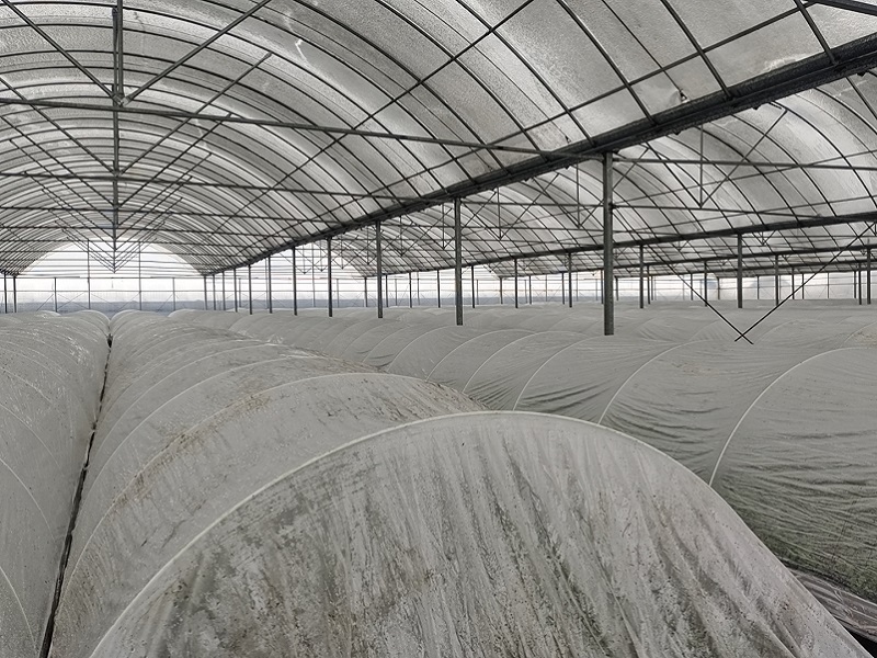 区农业农村局全力防范应对低温雨雪冰冻天气