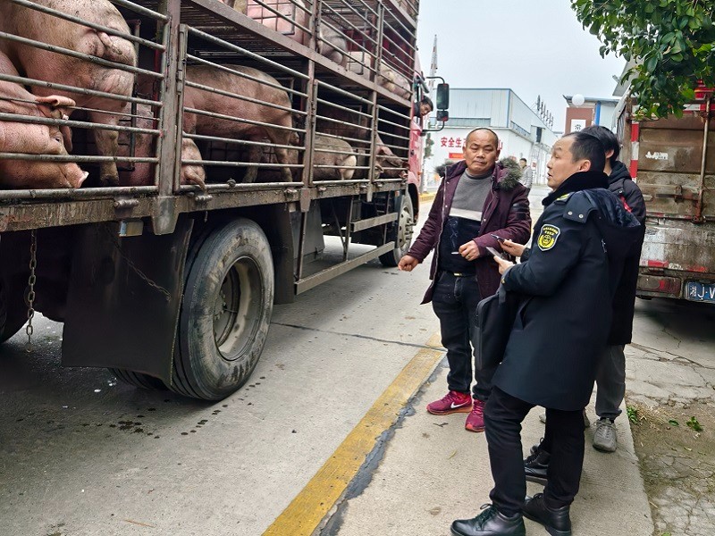 区农业综合行政执法局：开展猪肉产品质量安全专项执法检查行动
