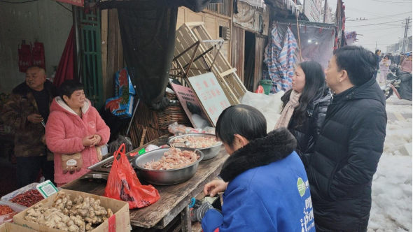 双桥坪镇：迎雪而战护民生 钢棚检查守安全