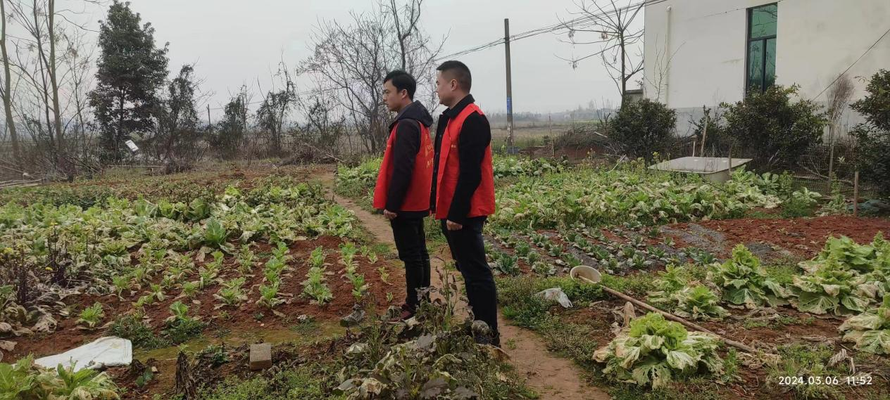 草坪镇：开展禁种铲毒踏查活动