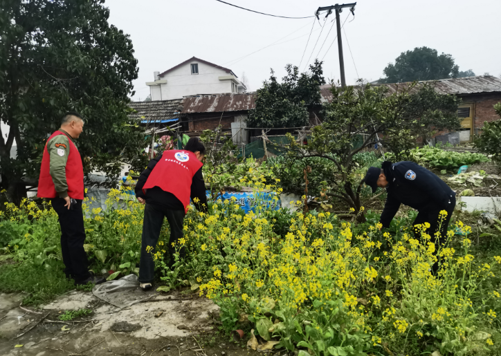 郭家铺街道：开展禁种铲毒踏查行动