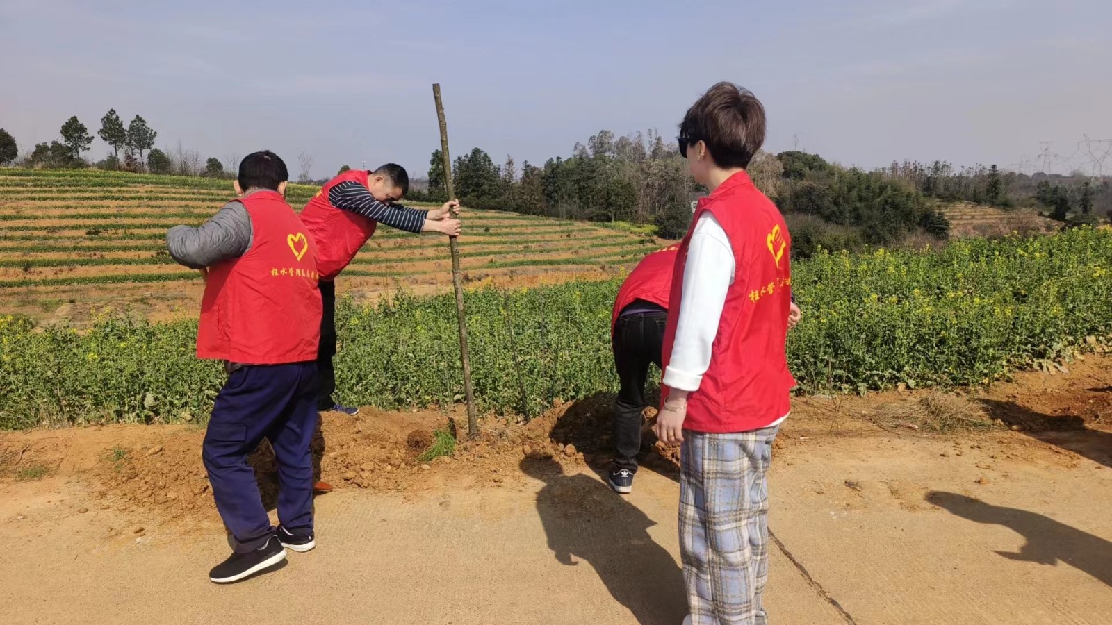 石公桥镇：“学雷锋，树新风”义务植树活动