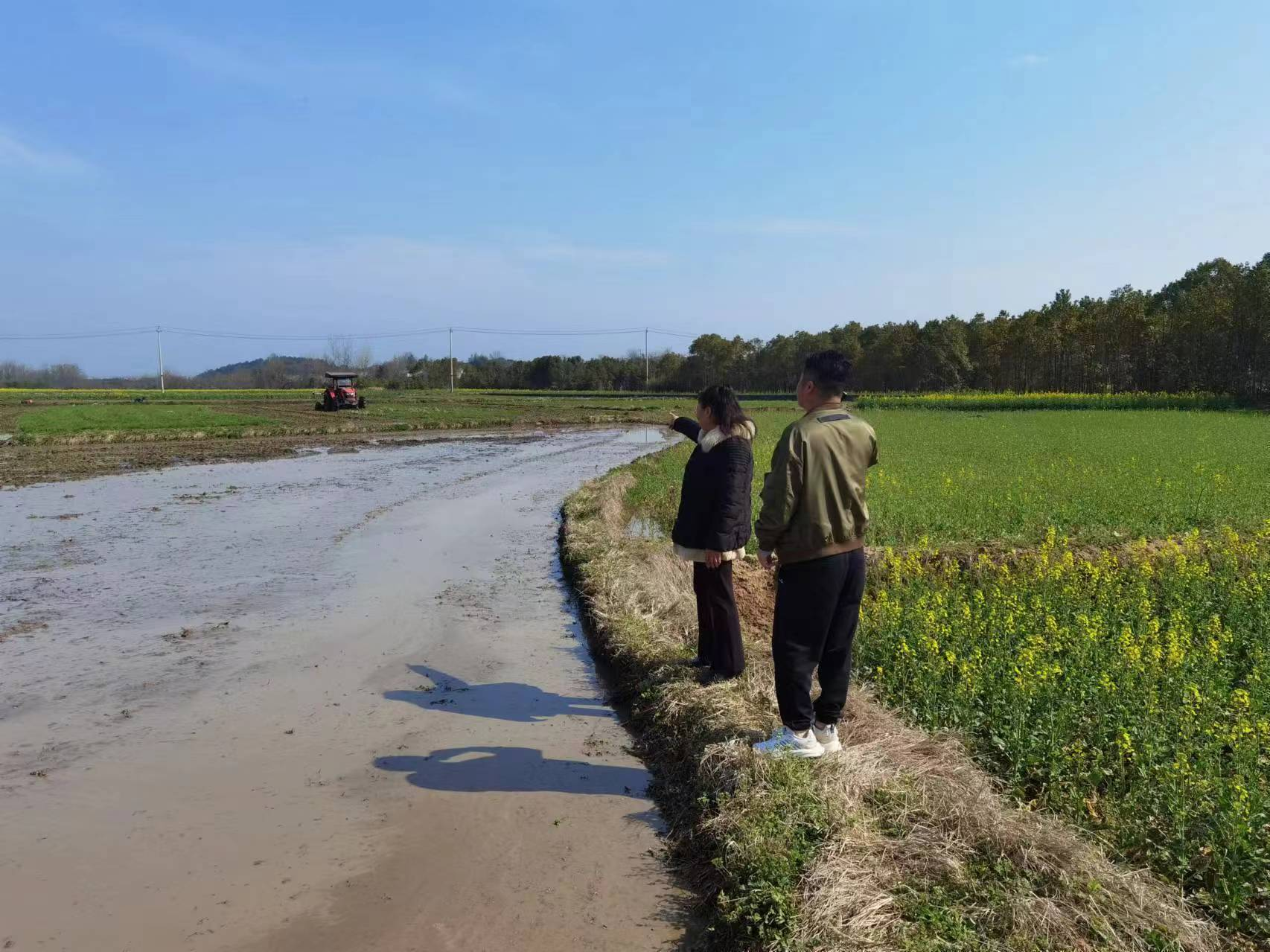 石板滩镇：积极履行监督责任，助力春耕生产与文明村镇创建