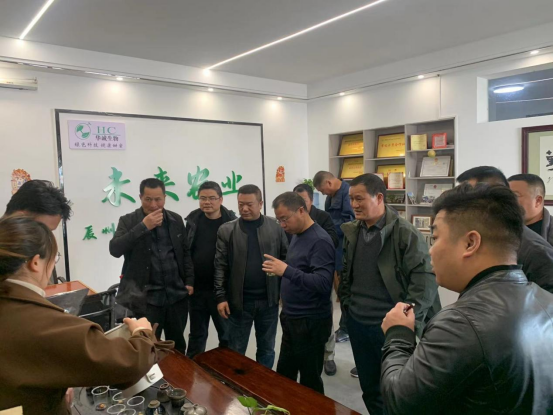 蔡家岗镇：学习观摩拓视野 提振信心促发展