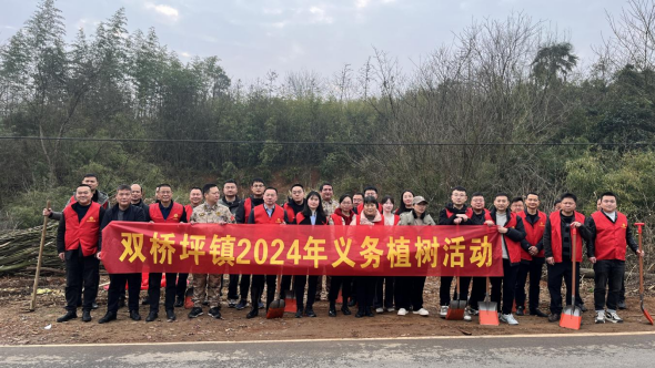 双桥坪镇：春回大地催新绿 植树添彩正当时
