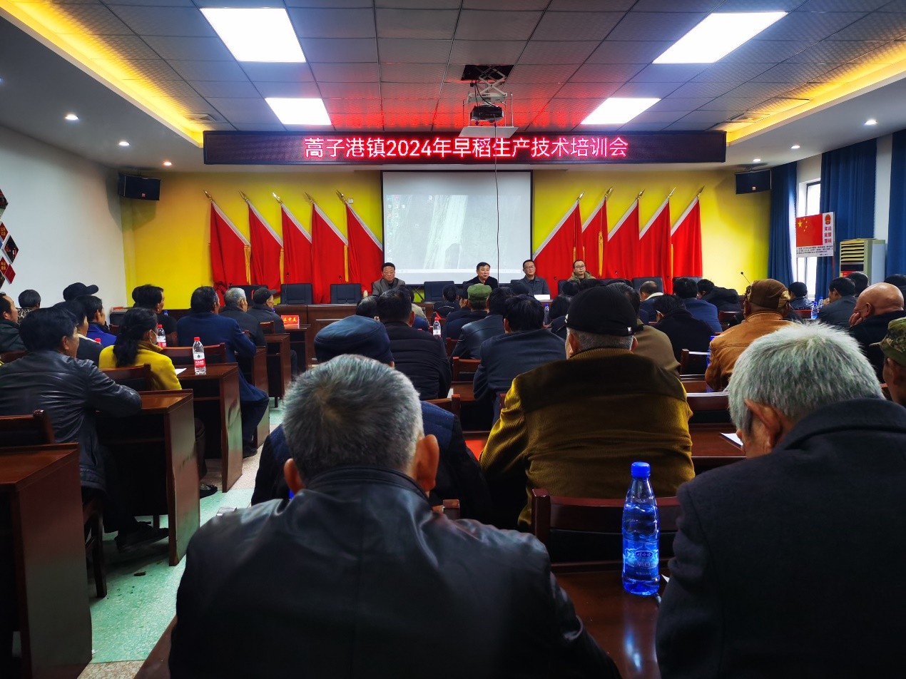 蒿子港镇：粮棉培训齐上阵 助推农户稳产增收