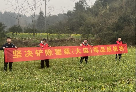 尧天坪镇：禁毒铲毒正当时 春季踏查不放松