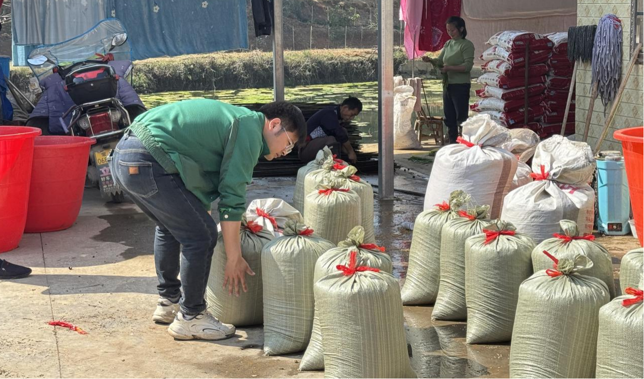 草坪镇：不误农时备春耕  绘就草坪好“丰”景
