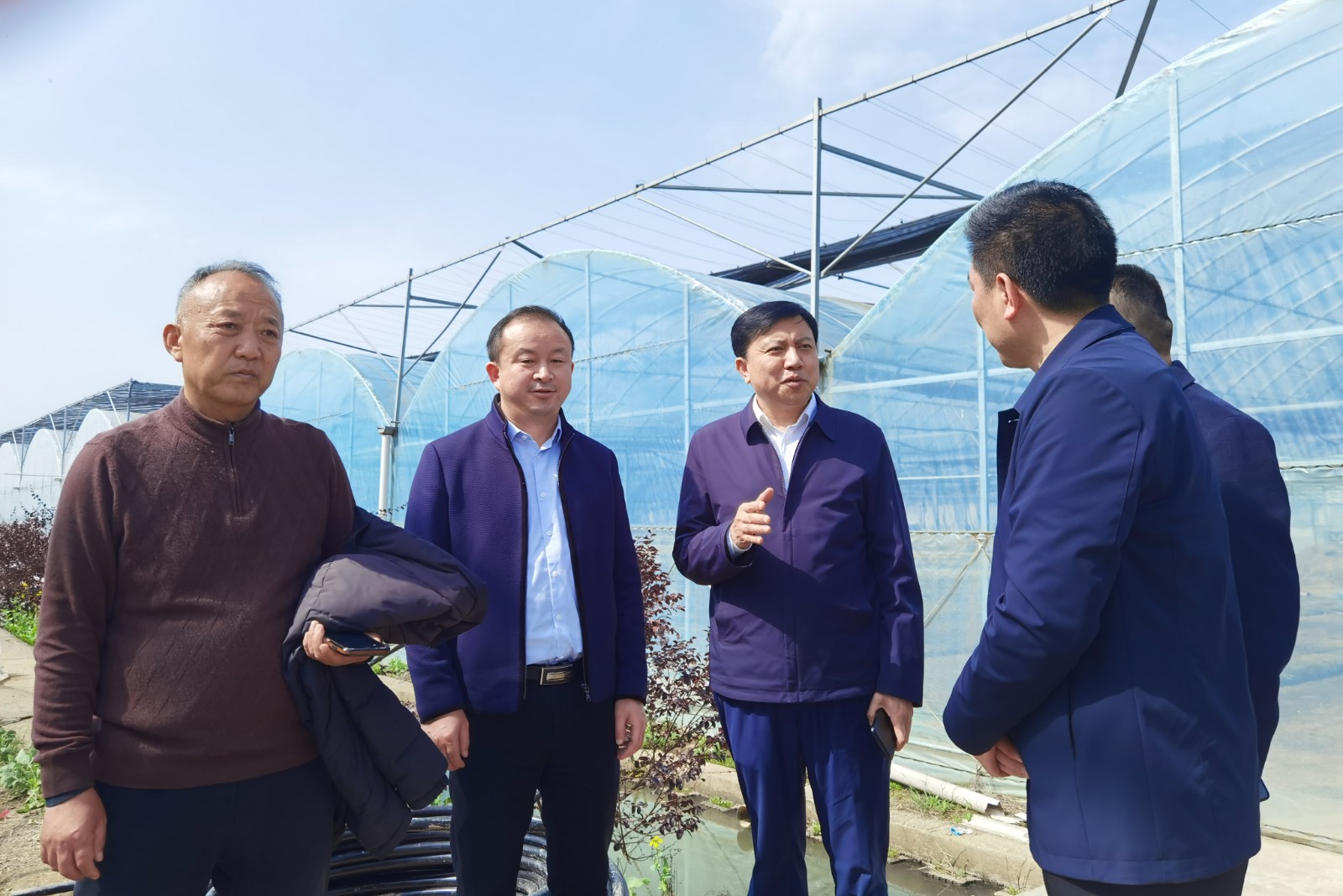 省供销合作总社来鼎调研春耕备耕及基层社赋权赋能工作
