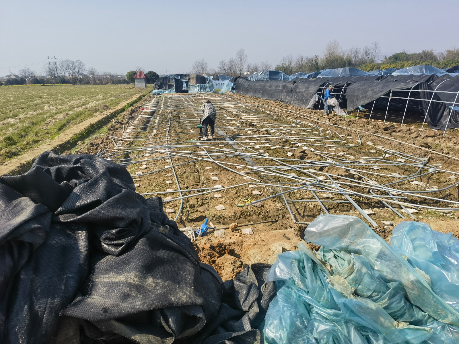 镇德桥镇：盘活土地资源，助力春耕生产