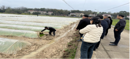 蔡家岗镇：人大代表助力早稻春耕生产