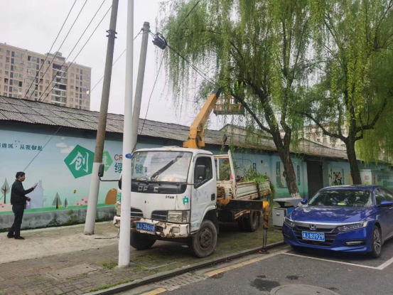 鼎城区城管局：清除行道树隐患 护航群众安全出行