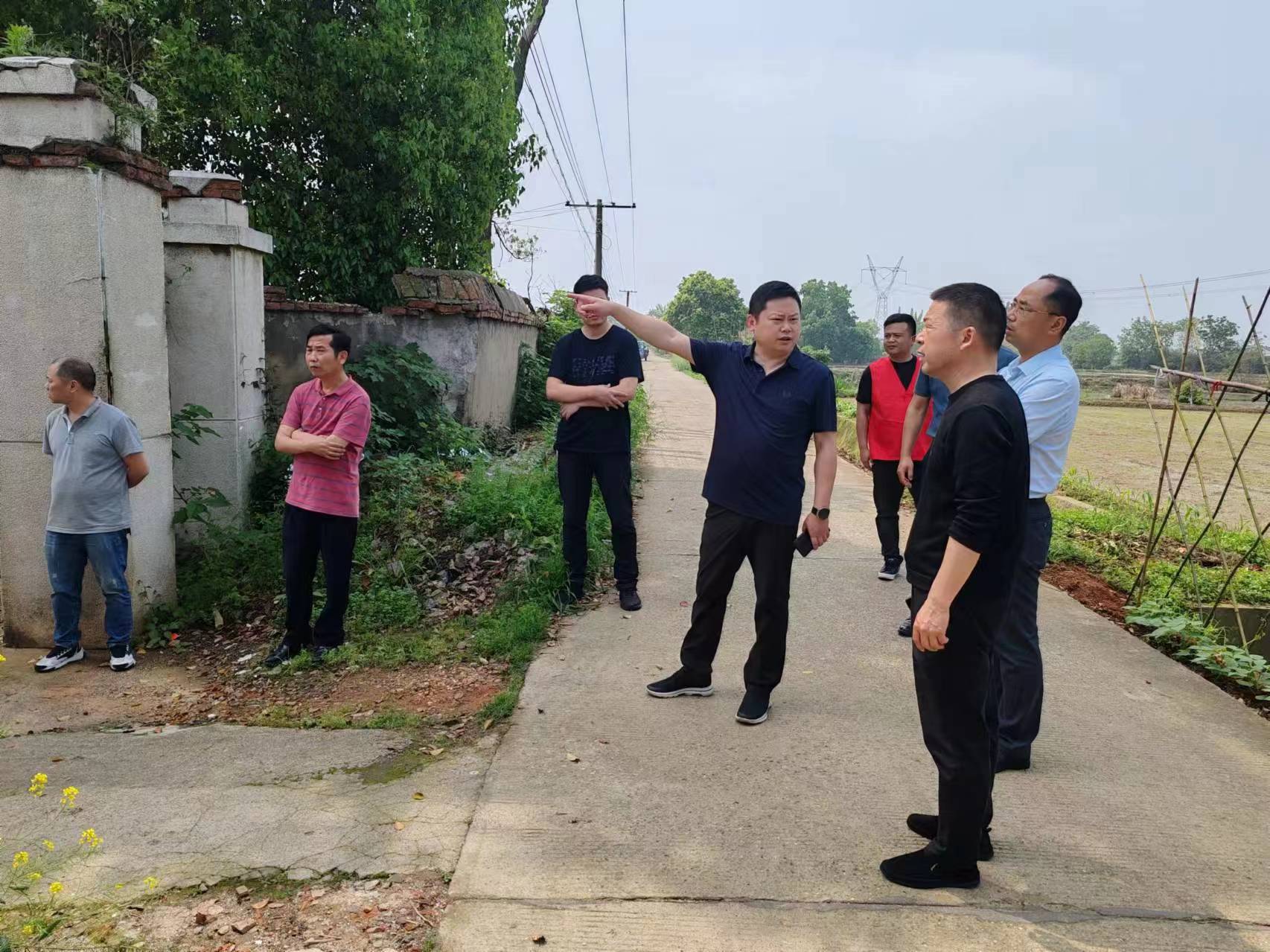 镇德桥镇：开展校园安全检查，筑牢校园安全防线