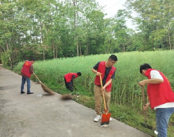 斗姆湖街道：开展人居环境卫生整治工作