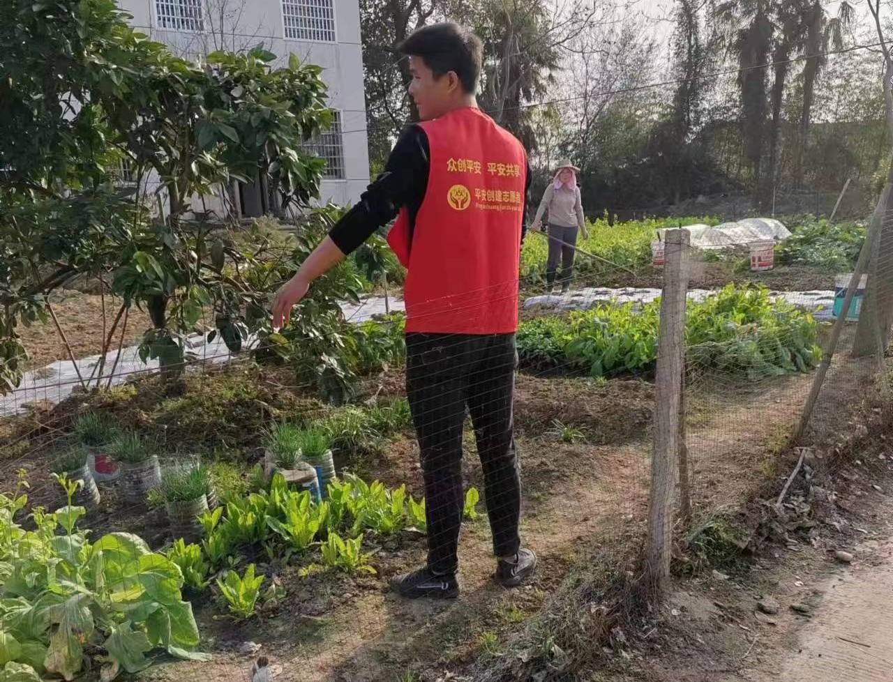 镇德桥镇：积极开展众创平安志愿活动