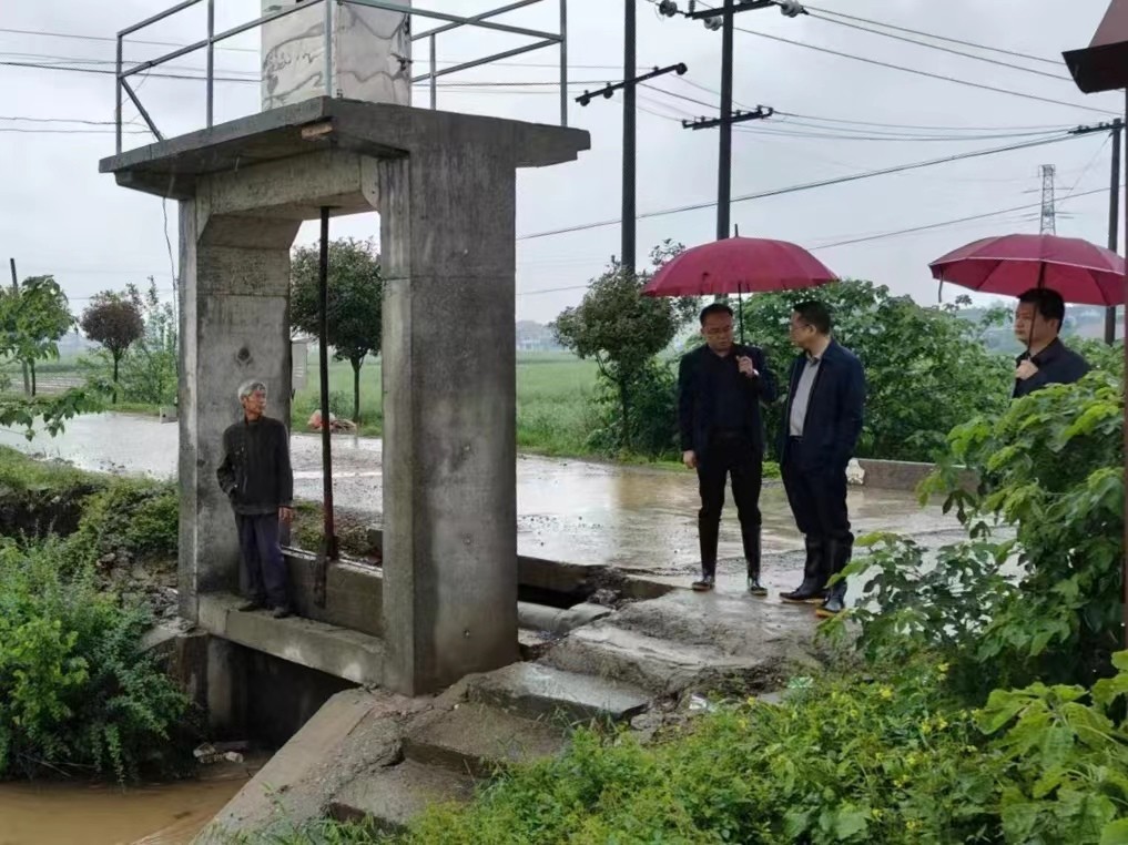 牛鼻滩镇：扎实做好强降雨天气防汛排涝工作