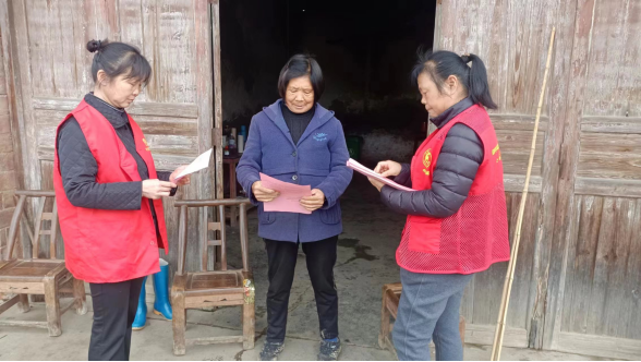 双桥坪镇：科技赋能进乡村 惠民服务暖人心