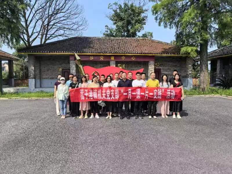 蒿子港镇：传递红色基因 筑牢初心使命