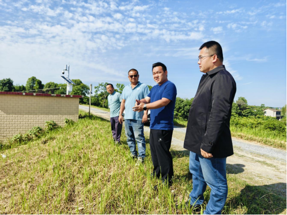 双桥坪镇：政协委员开展生态环境民主监督活动