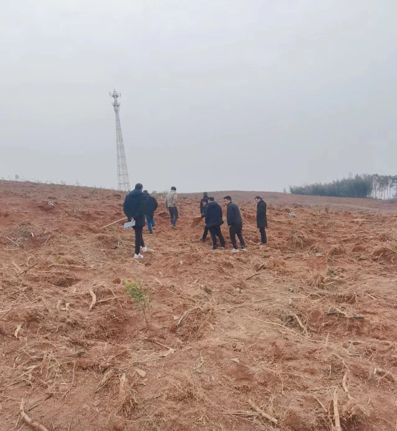 鼎城区林业局：科技三下乡 服务到山头
