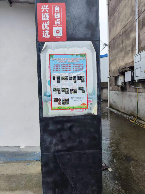 双桥坪镇：多措并举，扎实开展毒蘑菇防控宣传工作