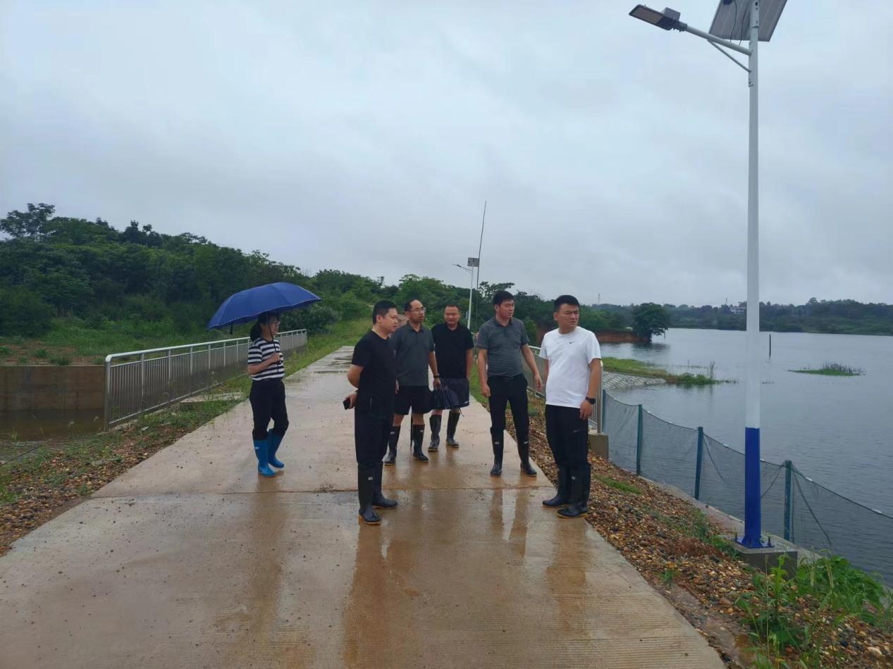 镇德桥镇：全力应对强降雨，筑牢防汛安全屏障