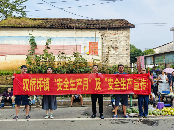 双桥坪镇开展安全生产月宣传活动