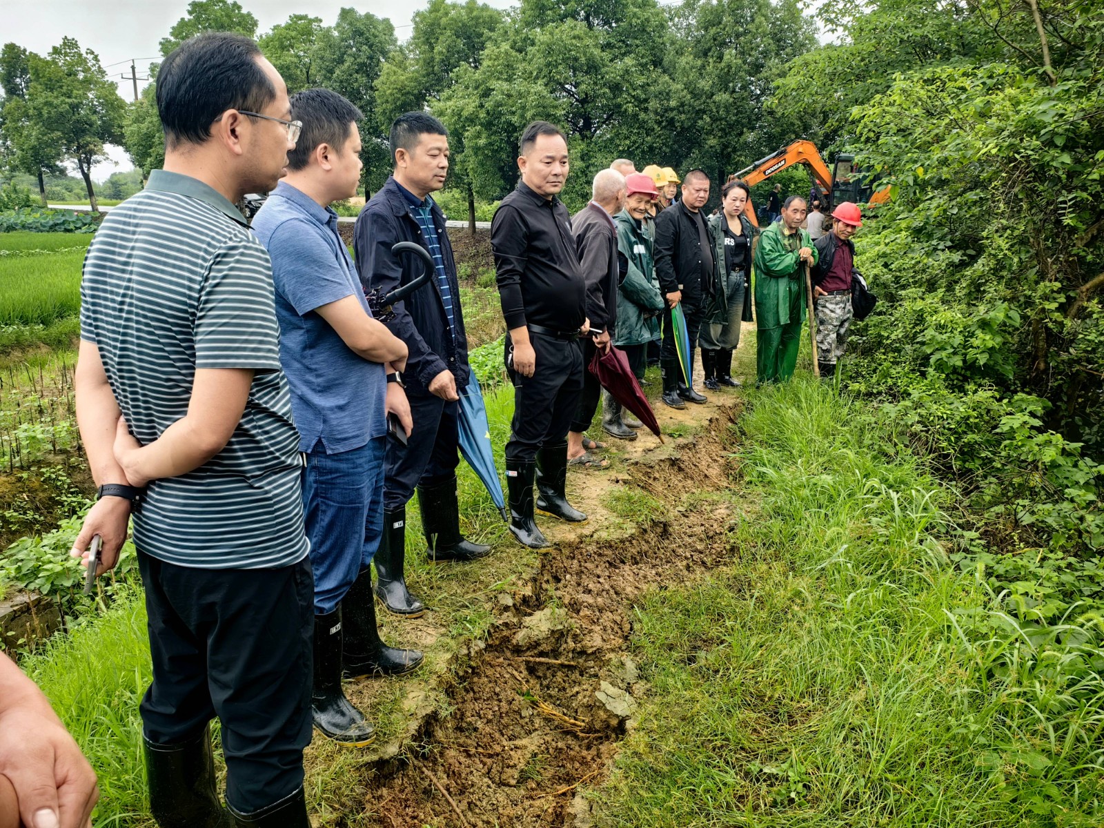 镇德桥镇：党员干部齐上阵 筑牢红色安全堤