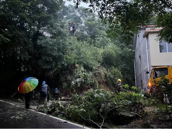双桥坪镇：全力出击 消除暴雨地质灾害隐患