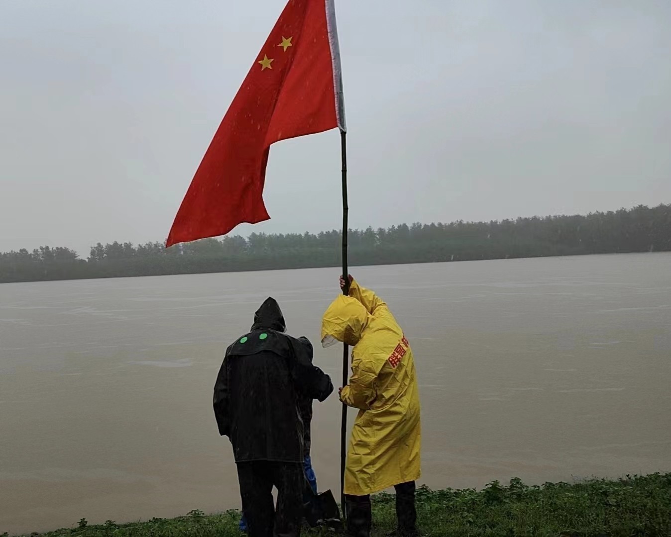 牛鼻滩镇：支部建在雨棚里 党旗插在堤垸上